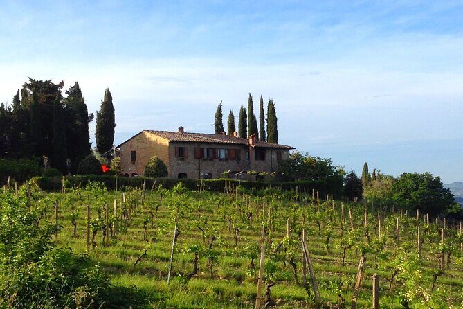 Private Wine and Extra Virgin Olive Oil Tasting - Price and Value: Why $50.41 Feels Reasonable Here