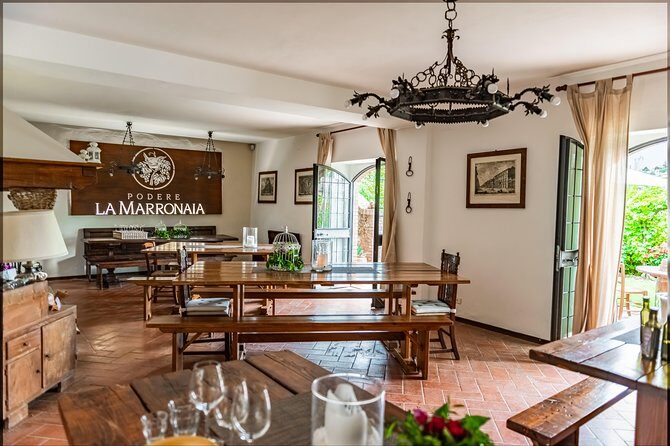 Private Wine, Evo oil & Cheese Tasting - The Guided Vineyard and Olive Grove Visit With a Family Member