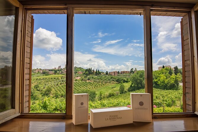 Private Wine & Evo oil tasting with Truffle Meal - The setting: rustic farmhouse, gazebo-style comfort, and a family-run feel