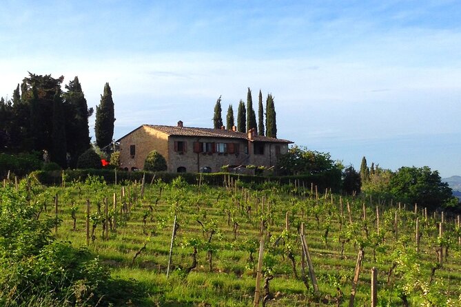 Private wine & EVO Oil Tasting with Tuscan Meal - Price and Value: Why $81.71 Can Actually Be a Deal