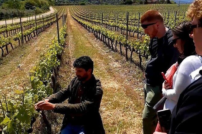 Private Wine Safari! Off-Road, Lunch in Winery in Tuscany! - Price and logistics: does $235.51 per person actually make sense?