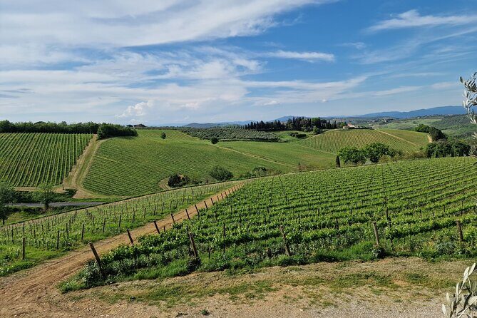 Private Wine Tour best of Chianti Tuscany 6 hours Limo Service - Price and What You’re Getting For Your Money