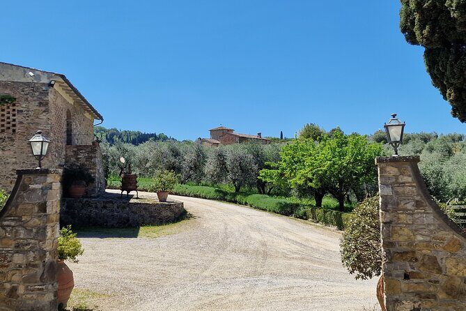 Private Wine Tour best of Chianti Tuscany 6 hours Limo Service - What’s Actually Included (So You Don’t Get Hit With Surprises)
