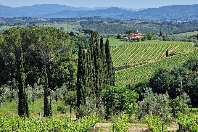 Private Wine Tour best of Chianti Tuscany 6 hours Limo Service - The Driver Advantage: Why Private Transport Changes the Day