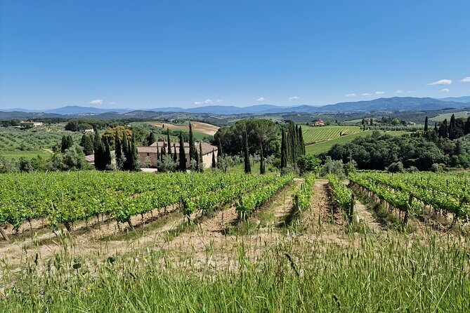Private Wine Tour best of Chianti Tuscany 6 hours Limo Service - The 6-Hour Flow: How to Think About the Schedule