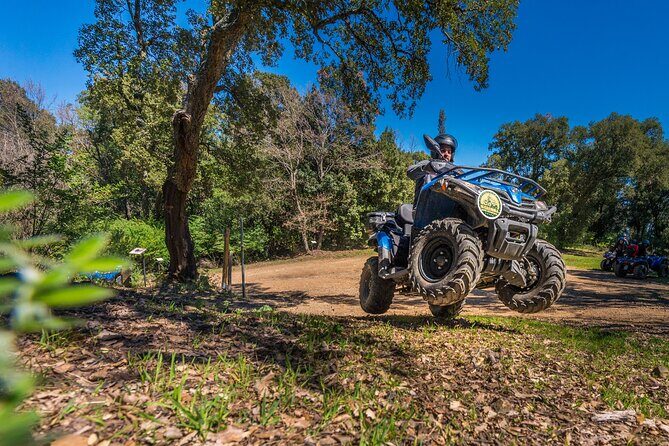 Quad excursion in the Maremma with barbecue in the woods - Quad excursion in Maremma: what you’re really signing up for