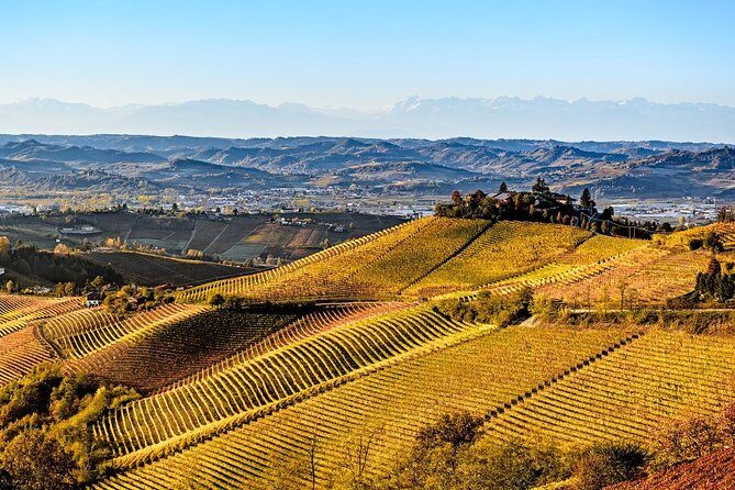 Radda in Chianti: Wine Tasting Tour with lunch at the Winery - Key things to know before you go