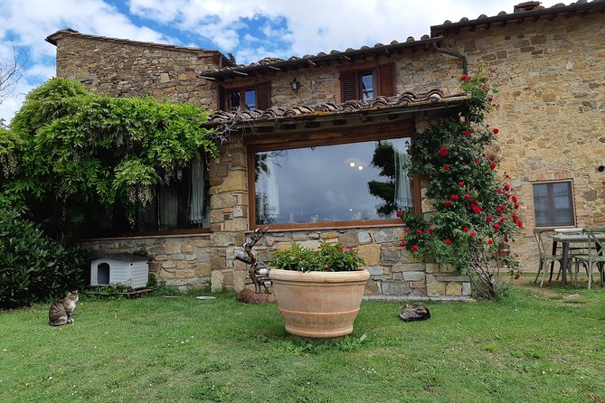 "Ramble Through The Rolling Hills Of Chianti" with lunch & Wine Tastings - Price and value: what you get for $289.40 in an 8-hour private day