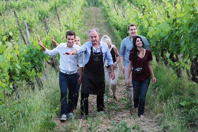 Romantic Lunch in the Vine Rows in Tuscany - Romantic Lunch in the Vine Rows: what you’re really buying