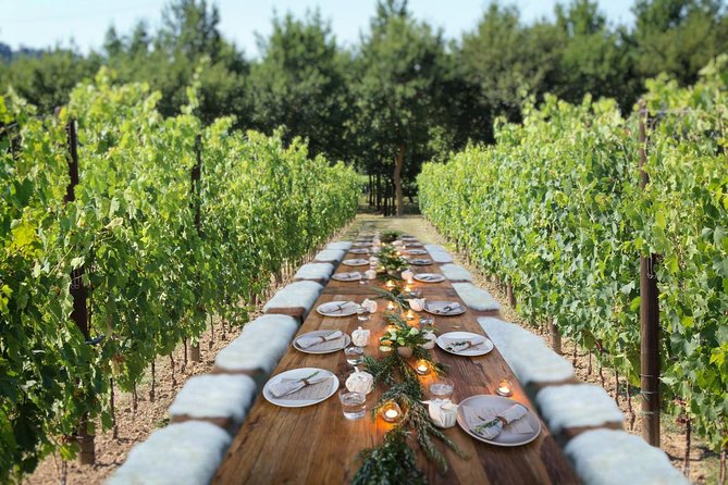 Romantic Lunch in the Vine Rows in Tuscany - Choosing your lunch slot: 12pm, 2pm, or 4pm