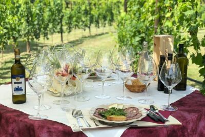 Romantic Lunch in the Vine Rows in Tuscany - Vineyard wine tasting: reserve pours and the role of your host