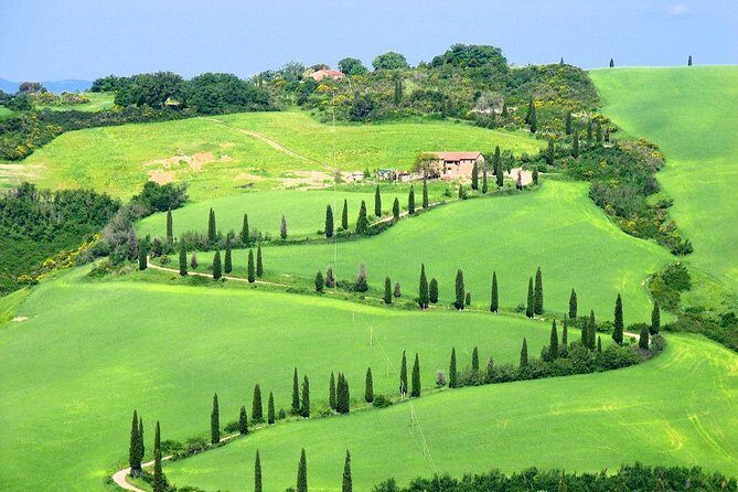 Romantic Vespa Tour and Wine Tasting - Electric scooter rules: licensing, age, and comfort