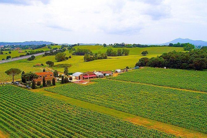 Romantic Vespa Tour and Wine Tasting - Val d’Orcia or Lake Trasimeno: pick the scenery you want