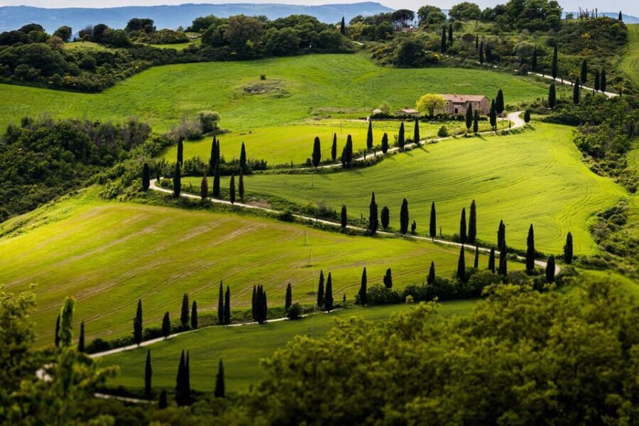 ROMANTIC WINE TOUR FOR 2 - Wine Tour in Chianti (Tuscany) - Before You Go: Shoes, Timing, and Rain or Shine