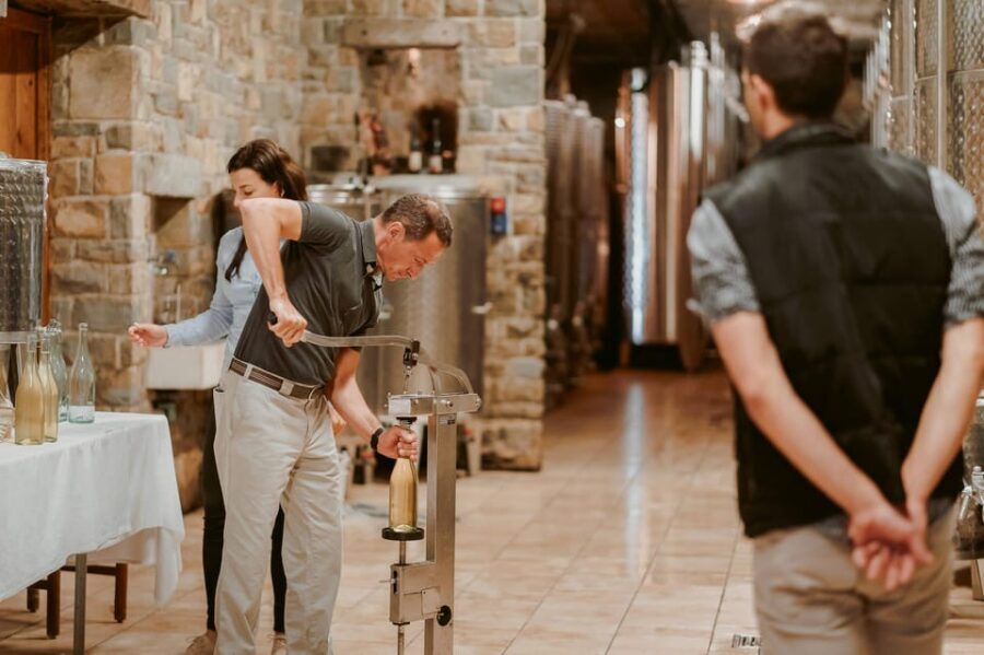ROMANTIC WINE TOUR FOR 2 - Wine Tour in Chianti (Tuscany) - Extra Virgin Olive Oil and Balsamic Tasting