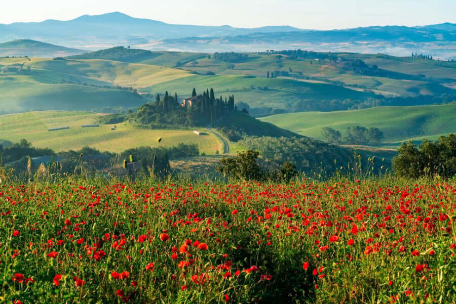 Rome: Tuscany & Montepulciano Day Trip with Lunch & Wines - Value for $81: Is the Vineyard Lunch Worth It?