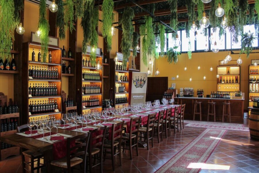 San Gimignano: 2-Hour Wine & Gourmet Tasting with Drinks - Logistics Near San Gimignano: Meeting Point and Timing Tips