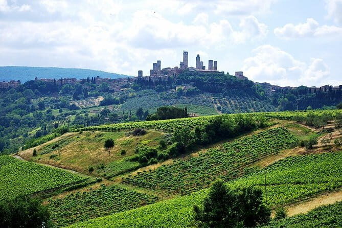 San Gimignano and Chianti Classico Wine and Food PRIVATE TOUR from Florence - Key things to know before you go