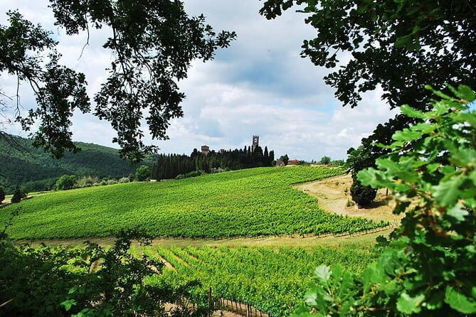 San Gimignano and Chianti Classico Wine and Food PRIVATE TOUR from Florence - Chianti Classico countryside stop: Sangiovese toast, olive oil, and tastings (with add-on costs)