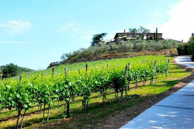 San Gimignano and Chianti Classico Wine and Food PRIVATE TOUR from SIENA - Food options and vegetarian needs