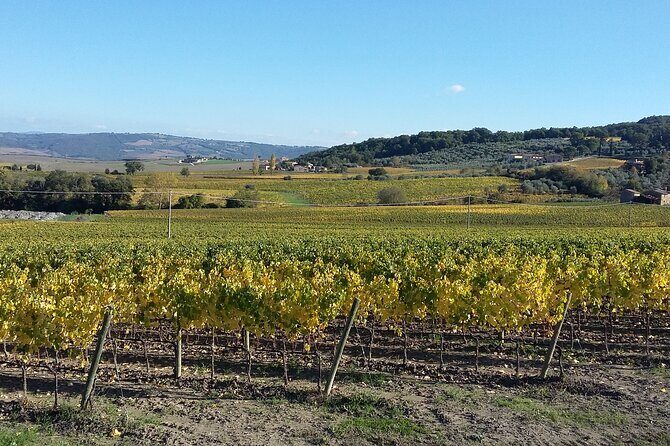 San Gimignano and Chianti tour - Timing and Pacing: Starting at 9:00am for a Full 8 Hours