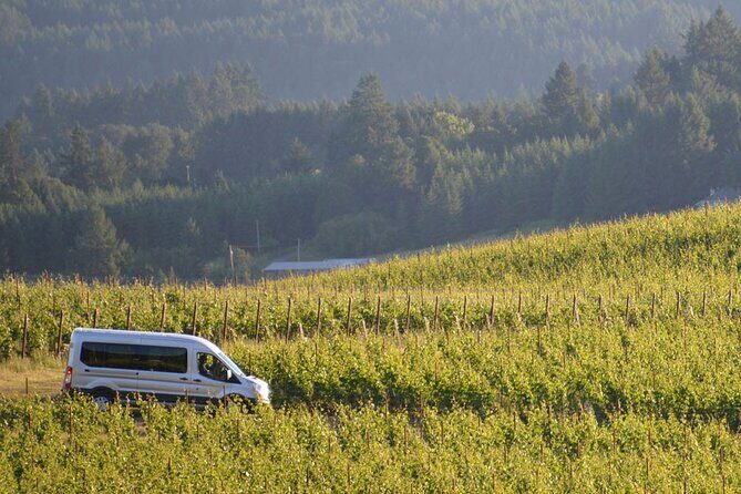 San Gimignano and Winery Experience with Lunch from Livorno - Why San Gimignano + a Winery Lunch is smart for Livorno