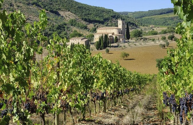 San Gimignano, Chianti, and Montalcino Day Trip from Siena - Key Highlights You’ll Actually Feel During the Day