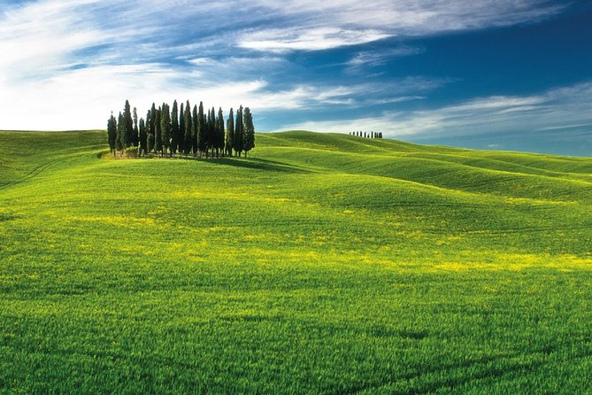 San Gimignano, Chianti, and Montalcino Day Trip from Siena - The Most Important Variable: Guide Quality and How Guided It Feels