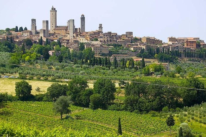 San Gimignano, Chianti, and Montalcino Day Trip from Siena - Price and Value: Is $168.96 Reasonable for This Much of Tuscany?