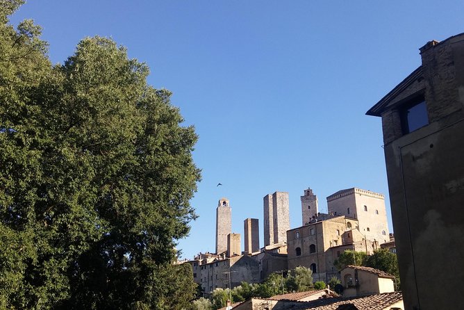 San Gimignano: Chianti wine tasting - A short Chianti stop that fits a day in San Gimignano