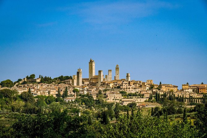 San Gimignano: Chianti wine tasting - The family cellar tour: the part that makes it feel personal