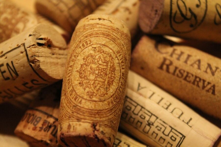 San Gimignano: Chianti wine tasting experience - Meeting at Azienda Agricola Fontaleoni: The Starting Point That Sets the Tone