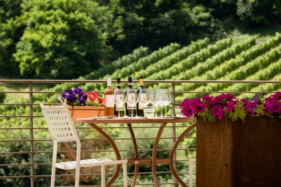 San Gimignano: Chianti wine tasting experience - What Makes This Experience Feel Like Tuscany (Not Just Wine)