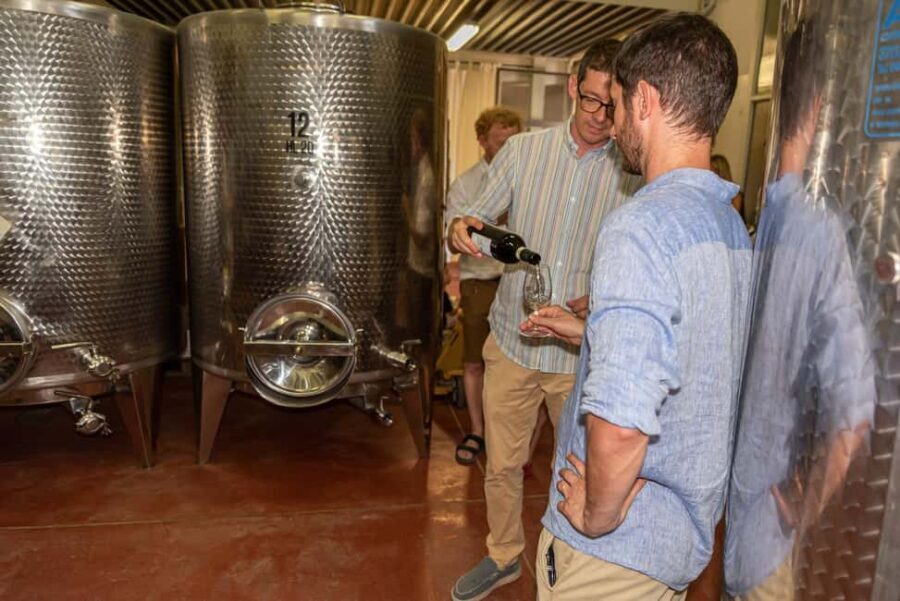 San Gimignano: Premium Wine Tour with Lunch - Who should book this wine tour (and who should skip)