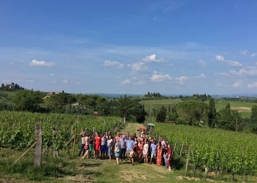 San Gimignano: Premium Wine Tour with Lunch - Cellar visit: where aging becomes flavor