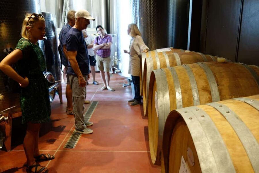 San Gimignano: Premium Wine Tour with Lunch - Lunch at the estate: pappa al pomodoro, charcuterie, bruschetta, and Pecorino Senese