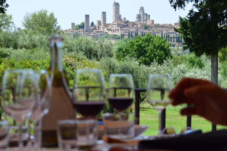 San Gimignano: Premium Wine Tour with Lunch - Vineyard walk: the production cycle explained in plain terms