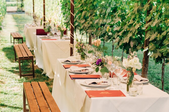 San Gimignano Romantic Dinner in the Vineyards - Pace, Weather, and Group Size: Keeping It Romantic