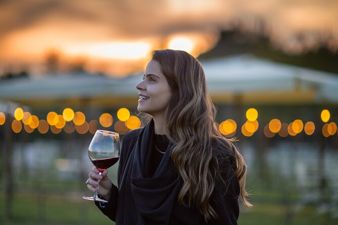 San Gimignano Romantic Dinner in the Vineyards - Price and Value for $150.60 Per Person