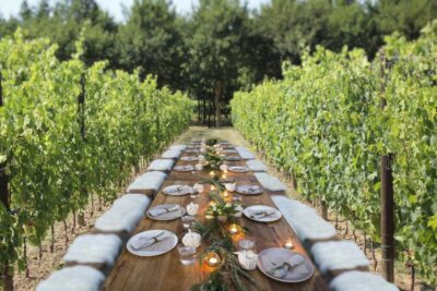 San Gimignano: Romantic Vineyard Dinner - What the 2-Hour Experience Feels Like on the Ground