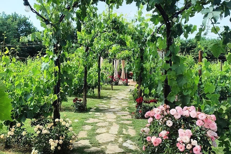 San Gimignano: Romantic Vineyard Dinner - The Traditional Dinner: Cozy Tuscany Food in a Vineyard Setting