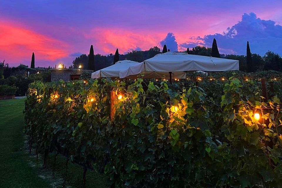 San Gimignano: Romantic Vineyard Dinner - Booking Smart: Meeting Point, Weather Changes, and Timing
