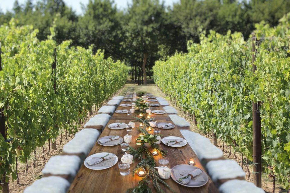 San Gimignano: Romantic Vineyard Dinner - What the 2-Hour Experience Feels Like on the Ground