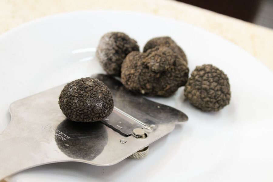 San Gimignano: Truffle Cooking Class with Wine Tasting - The traditional Tuscan meal: where your cooking meets your tasting
