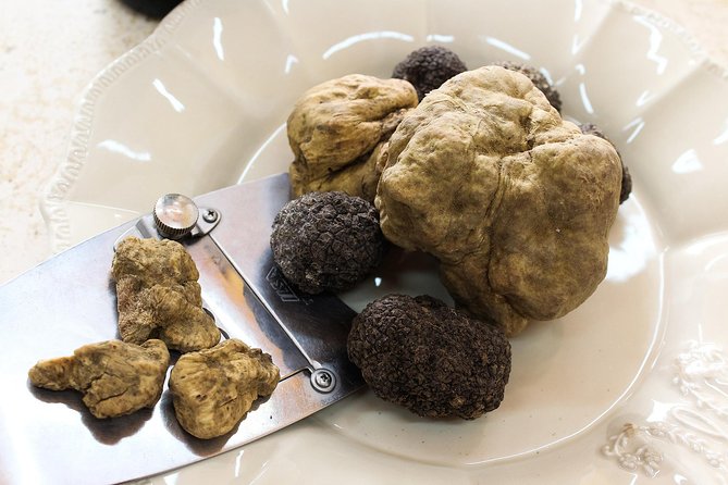 San Gimignano Truffle Hunt & Truffle Cooking Class - Truffle Hunting With Dogs: Seeing the Search Up Close