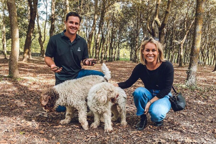 San Gimignano: Truffle Hunting with Lunch & Wine Tasting - Key Things You’ll Do and Notice