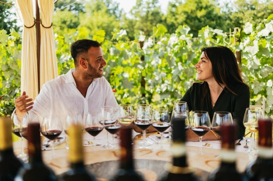 San Gimignano: Tuscan Vineyard Lunch with Wine Tasting - Vineyard Lunch at Tenuta Torciano: the 2-hour experience in plain terms