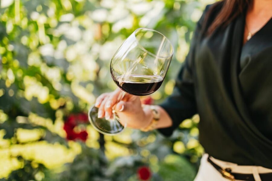 San Gimignano: Tuscan Vineyard Lunch with Wine Tasting - What you actually get to eat and taste