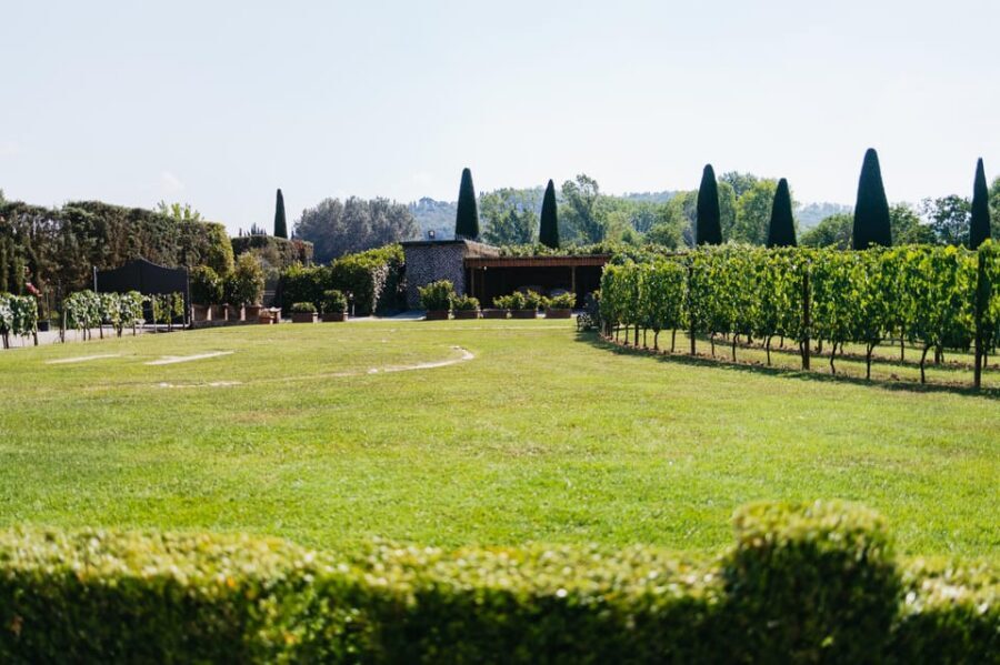 San Gimignano: Tuscan Vineyard Lunch with Wine Tasting - Arriving in San Gimignano: meeting point, parking, and what you control