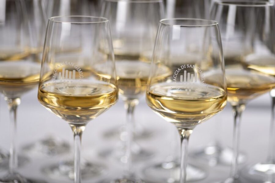 San Gimignano: Vernaccia Wine Tasting Experience - The Tasting Room Experience: Comfortable, Seated, and Guided